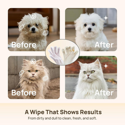 Pawzioo Pet Glove Wipes for Dogs & Cats