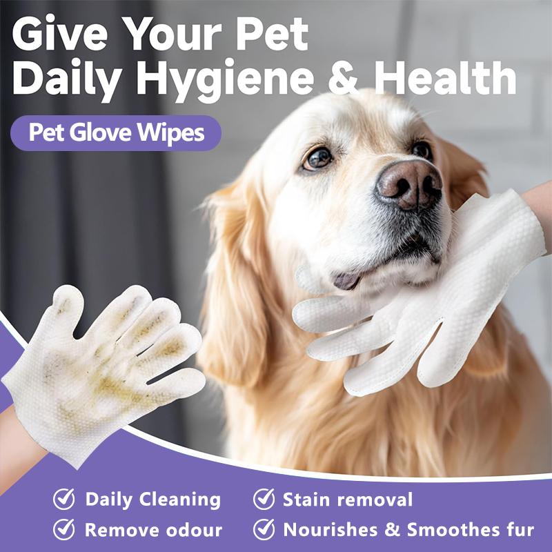 Pawzioo Pet Glove Wipes for Dogs & Cats